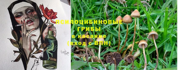 хмурый Богородицк