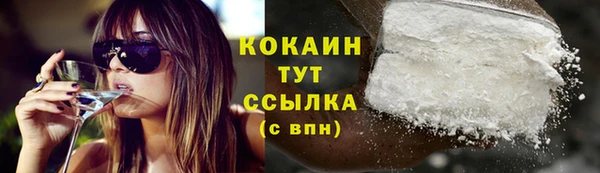 спиды Богданович