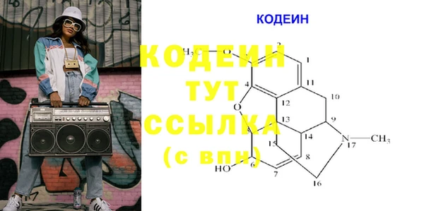 спиды Богданович
