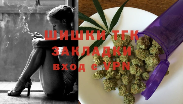 спиды Богданович