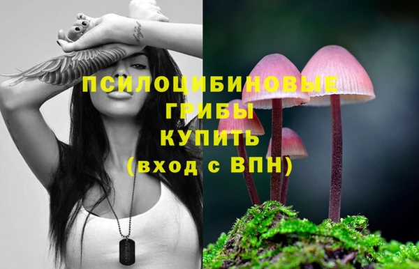 спиды Богданович