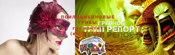спиды Богданович