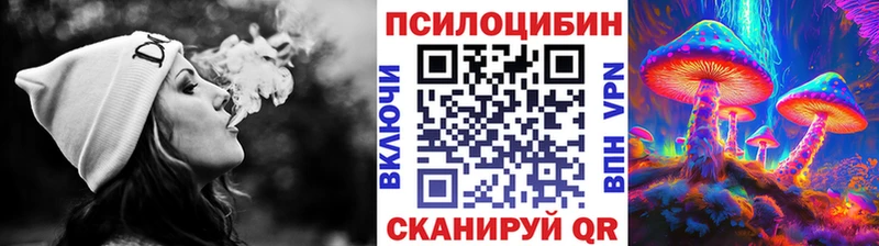 мориарти Telegram  Кореновск  Галлюциногенные грибы Cubensis 